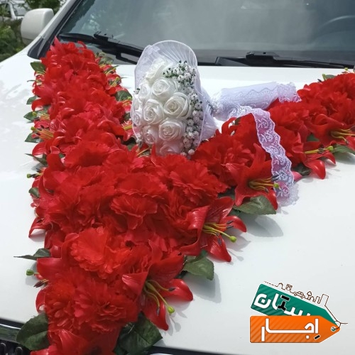 تصویر ۱۲