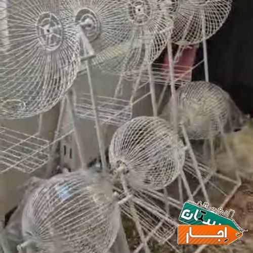 تصویر ۲