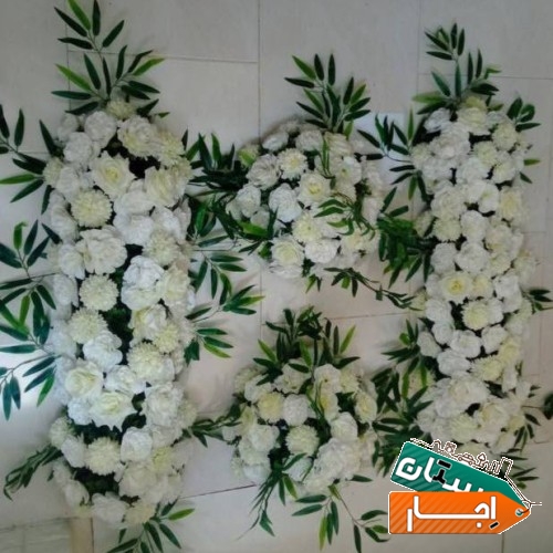 تصویر ۴۱