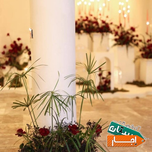 تصویر ۲