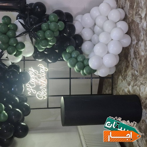 تصویر ۳۳