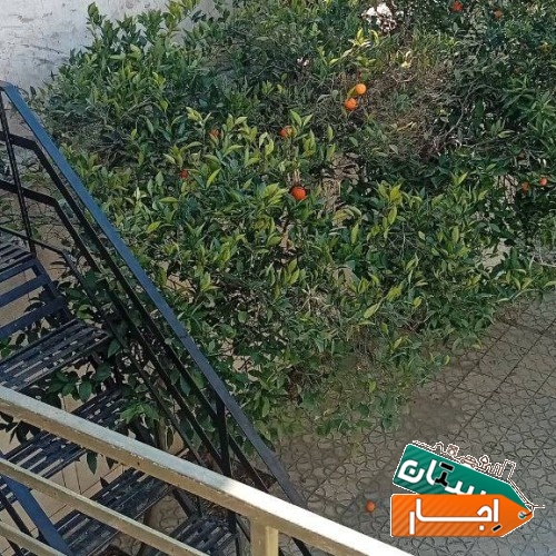 تصویر ۲
