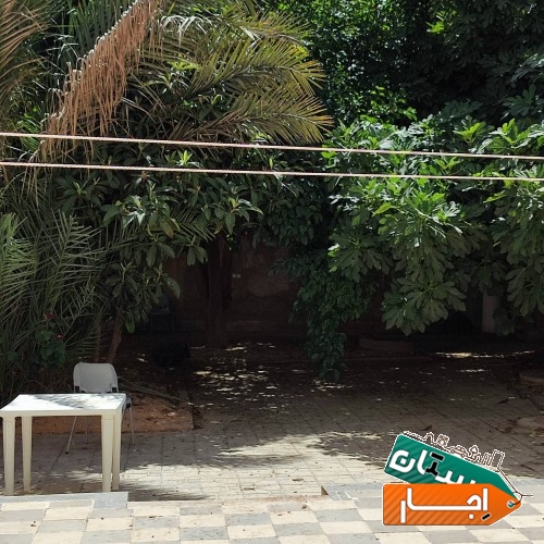 تصویر ۵