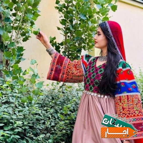 تصویر ۴۸