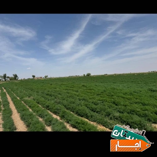 اجاره زمین کشاورزی