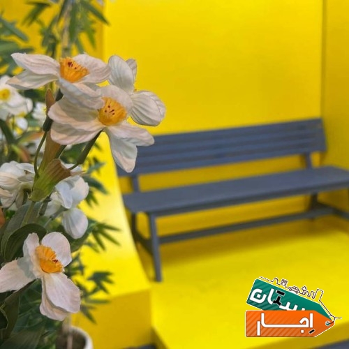 تصویر ۵