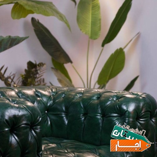 تصویر ۵