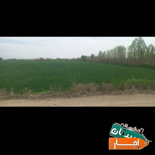 اجاره زمین کشاورزی