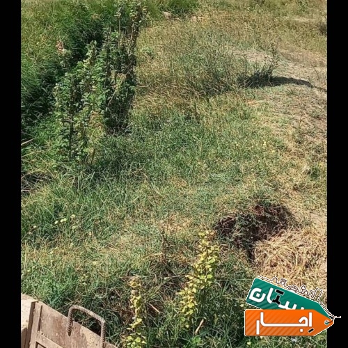 اجاره زمین کشاورزی