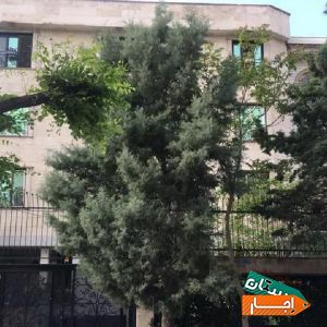 اجاره آپارتمان 95 متر سعادت آباد با بهترین شرایط