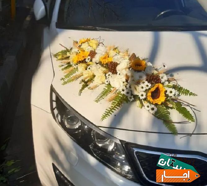 اجاره ماشین برای تشریفات و مجالس