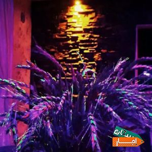 ویلا اجاره سهیلیه با شرایط مناسب در البرز