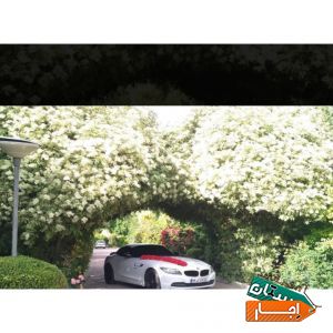 کرایه اجاره ماشین عروس BMWZ4 و مرسدس بنز C200