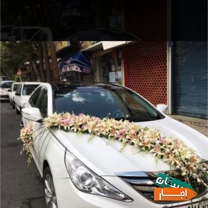 اجاره انواع ماشین عروس