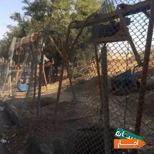 اجاره بالابر ساختمانی به پایین ترین قیمت