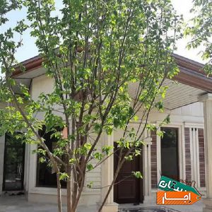 باغ ویلای اجاره‌ای با شرایط معتبر