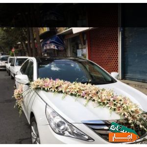 اجاره انواع ماشین عروس