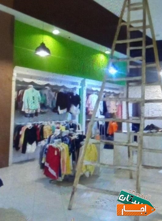 اجاره انواع نردبان دوطرفه چوبی سالم