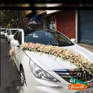 اجاره انواع ماشین عروس