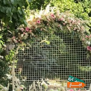 بادکنک ارایی گل ارایی اجاره باندنوراجاره باغ ویلا با بهترین شرایط