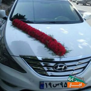 اجاره ماشین عروس سوناتاوای اف سفید کولر یسره روشن