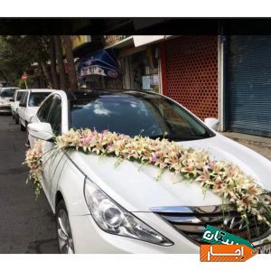 اجاره انواع ماشین عروس