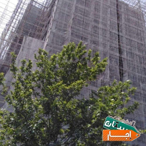اجاره داربست
