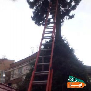 اجاره نردبان با بهترین شرایط