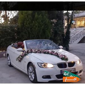 اجاره کرایه رنت ماشین عروس باگل و بدون گل