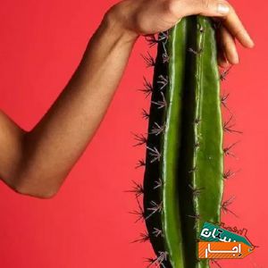 اجاره رنت دستگاه لیزر با شرایط ویژه