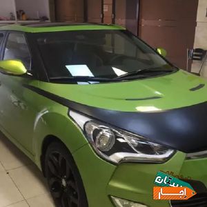 اجاره ولستر با قیمت عالی