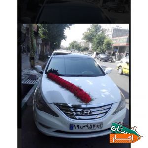 اجاره ماشین عروس سوناتا وای اف سفید