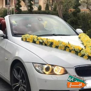 اجاره ماشین عروس کروک با بهترین قیمت