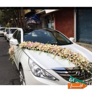 اجاره انواع ماشین عروس