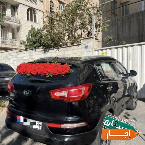 تصویر ۲