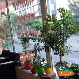 اجاره واحد اداری و تجاری خیابان بازرگانی کرج با بهترین قیمت