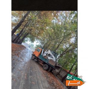اجاره بابکت ،مینی بیل