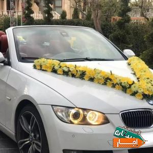 اجاره ماشین عروس کروک با بهترین قیمت