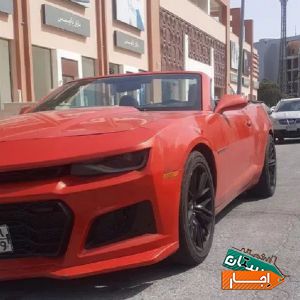 اجاره کروک امریکایی نیو با شرایط معتبر