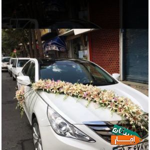 اجاره انواع ماشین عروس