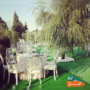 ظروف کرایه،اجاره صندلی ومیز،بادکنک ارایی وتم تولد
