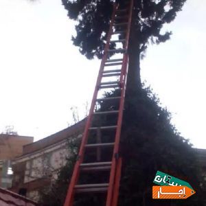 اجاره نردبان با بهترین شرایط