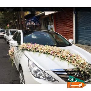 اجاره انواع ماشین عروس