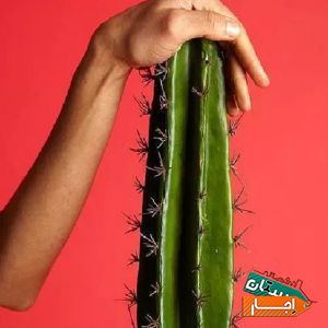 اجاره رنت دستگاه لیزر با شرایط ویژه