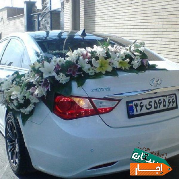 اجاره کرایه ماشین عروس, لکسوسnx, ماکسیما سفید