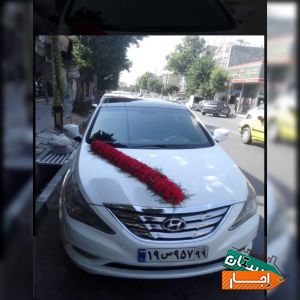 اجاره ماشین عروس سوناتا با گل ودسته گل