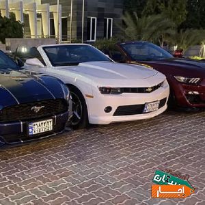 اجاره کامارو کروک نیو با مناسب ترین شرایط