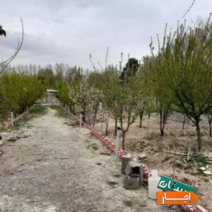 باغچه اجاره‌ای محیط دنج وارام عباس اباد