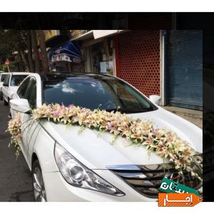 اجاره انواع ماشین عروس