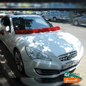 اجاره خودرو های روز